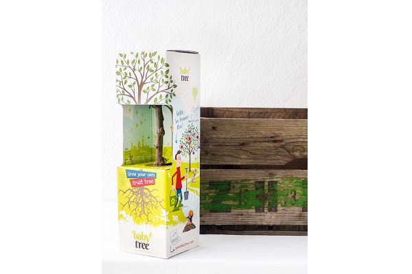 Baby-Tree-with-fruit-box