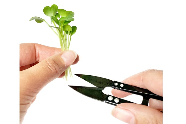 Cress schaar