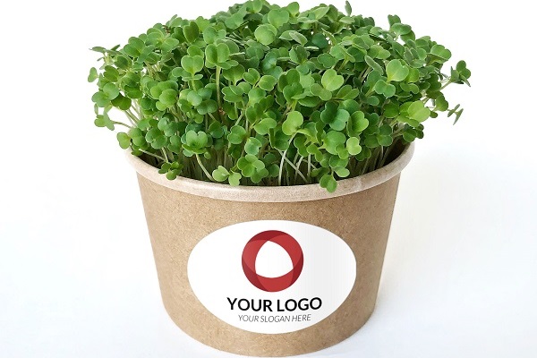 cress-your-logo-1